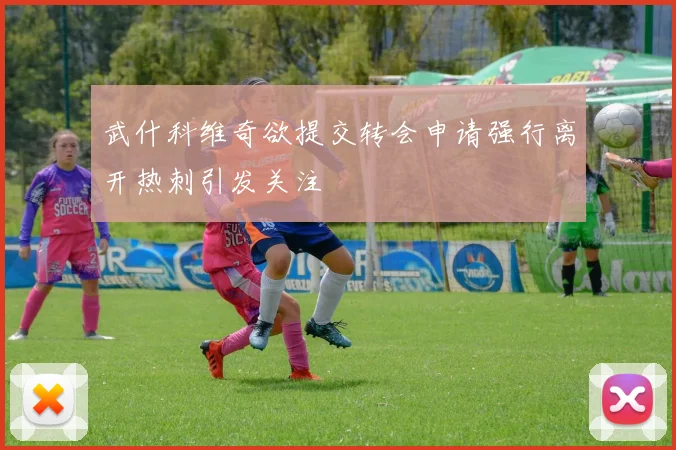武什科维奇欲提交转会申请强行离开热刺引发关注