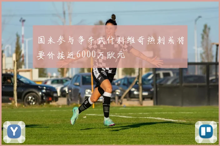 国米参与争夺武什科维奇热刺或将要价接近6000万欧元