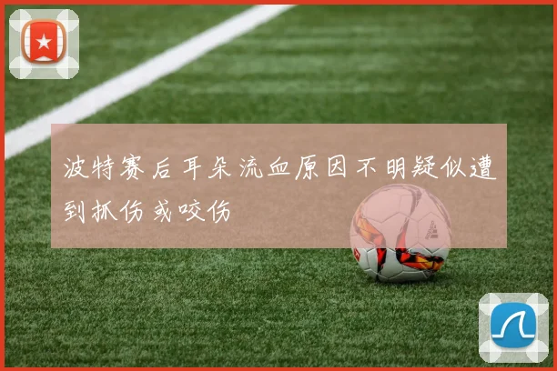 波特赛后耳朵流血原因不明疑似遭到抓伤或咬伤