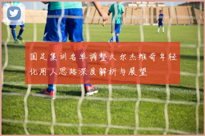 国足集训名单调整久尔杰维奇年轻化用人思路深度解析与展望